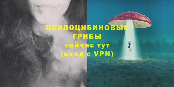 прущие крисы Осташков