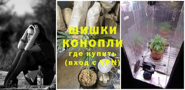 мдпв Осинники