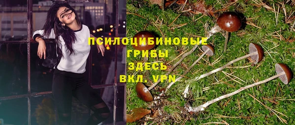 прущие крисы Осташков