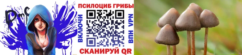 цена наркотик  Трубчевск  Псилоцибиновые грибы мицелий 
